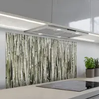 KitchenYeah Spatscherm 120x60 cm - Zelfklevende achterwand Cactus - Natuur - Vetplanten - Keuken muurbeschermer - Spatwand fornuis