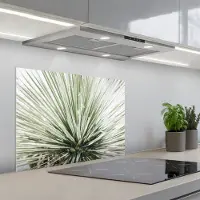 KitchenYeah Spatscherm 70x55 cm - Zelfklevende achterwand Groen - Bladeren - Natuur - Keuken muurbeschermer - Spatwand fornuis