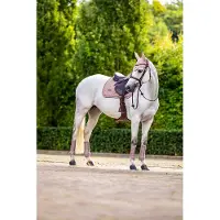 Equestrian Stockholm Zadeldek Modern Midsummer Blush Springen Lichtroze