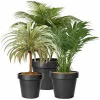 Mega Collections Plantenpotten bloempotten set - 3x stuks - kunststof - zwart - Tuin - Diameters 30-35-40 cm