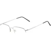 FLEXSON Flexon FLEXON 606 N Light gunmetal 54/19/145 MAN Brilmonturen