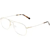 FLEXSON Flexon FLEXON H6091 Gold 59/16/150 MAN Brilmonturen