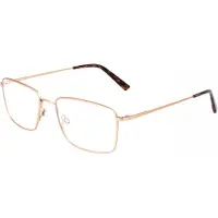 FLEXSON Flexon FLEXON H6081 Matte taupe 55/18/145 MAN Brilmonturen