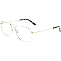 FLEXSON Flexon FLEXON H6065 Gold 56/15/150 MAN Brilmonturen