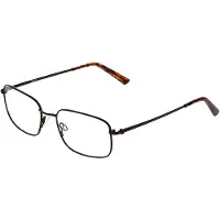 FLEXSON Flexon FLEXON BENJAMIN 600 N Brown 54/18/140 MAN Brilmonturen