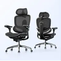 Sihoo Doro C300 V2 Ergonomische Bureaustoel - Dubbele Dynamische Lendesteun - 6D Gecoördineerde Armleuningen - Verstelbaar voor Werk en Gaming - Zwart