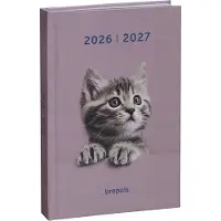 Brepols agenda 2026-2027 - AMICI - Schoolagenda - 1 dag per pagina - Stevige omslag - Dagoverzicht - Poes - 11.5 x 16.9 cm