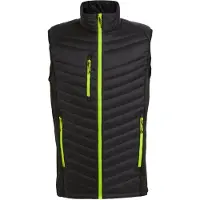Regatta Heren Navigate Gewatteerd Hybride Gilet (Zwart/Lijkgroen)