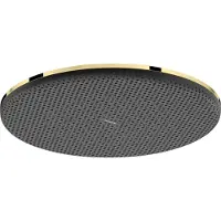 Hansgrohe Raindance Alive S douchekop, 300 mm, 1 straal, EcoSmart, gepolijst goudkleur