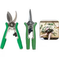 PD - Snoeischaar Set - KROM + RECHT - Extra Scherp! - Bloemenschaar - Plantenschaar - 15 cm - Schaar voor tuinieren
