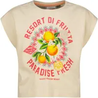 Vingino Shirt grijs / groen / oranje / cranberry