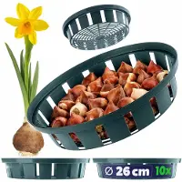 Kadax plantmanden Ø 26 cm voor tulpenbollen, 10 stuks, kunststof plantenbakken, woelmuizenbescherming voor tulpen en andere bolgewassen, zaaibakken