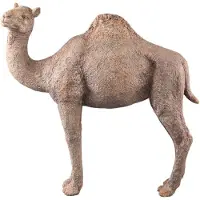Ptmd beeld amaleah - 60x17x54cm
