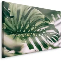 Karo-art Schilderij - Close up Monstera Blad, Groen, Premium Print