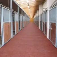 Intergard Stalmatten staltegels paardenstal rood 100x100cm