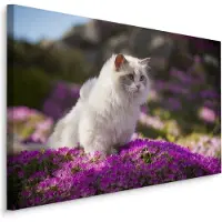 Karo-art Schilderij - Ragdoll Kat tussen de Bloemen, Premium print