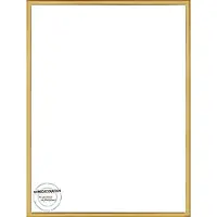 Homedecoration Almelo – Fotolijst – Fotomaat – 33 x 50 cm – Vintage Goud