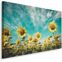 Karo-art Schilderij - Zonnebloemveld, premium print