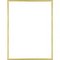 Homedecoration Almelo – Fotolijst – Fotomaat – 43 x 93 cm – Goud Glans