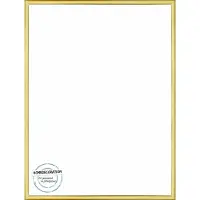 Homedecoration Almelo – Fotolijst – Fotomaat – 59 x 92 cm – Goud Glans