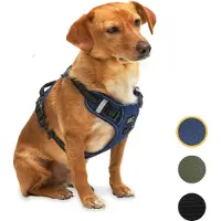 Jake and Jacky Hondentuigje - Anti-Trek Tuig - Hondenharnas - Y Tuig Hond - Reflecterend - Blauw - Maat S