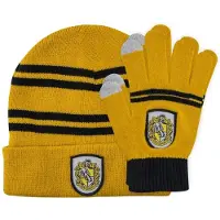 PAN Vision Danmark A/S Unisex, Pet, Harry Potter: muts & handschoenen Hufflepuff, Geel