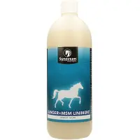Synovium Ginger MSM Liniment