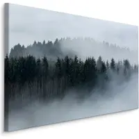 Karo-art Schilderij - Mistig bos, grijs, 4 maten, wanddecoratie