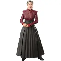 Disney Hasbro Star Wars - Ahsoka Black Series Morgan Elsbeth 15 cm Actiefiguur - Multicolours