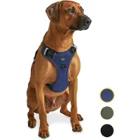 Jake and Jacky Jake en Jacky - Hondentuigje - Anti-Trek Tuig - Hondenharnas - Y Tuig Hond - Reflecterend - Blauw - Maat L
