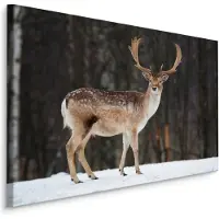 Karo-art Schilderij - Hert op de voorgrond, Premium Print