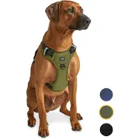 Jake and Jacky Jake en Jacky Hondentuigje - Anti-Trek Tuig - Reflecterend - Groen - Maat L