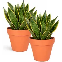 Mega Collections Plantenpot / bloempot - 2x - kunststof - oranje - binnen/buiten - D29 x H28 cm