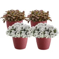Prosperplast bloempot / plantenpot - 4x - kunststof - diep rood - Dia 15.7 cm en hoogte 13.8 cm - binnen/buiten