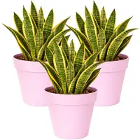 Mega Collections Plantenpot / bloempot - 3x - kunststof - lichtroze - binnen/buiten - D29 x H28 cm