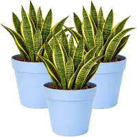 Mega Collections Plantenpot / bloempot - 3x - kunststof - lichtblauw - binnen/buiten - D29 x H28 cm