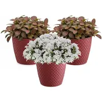 Prosperplast bloempot / plantenpot - 3x - kunststof - diep rood - Dia 15.7 cm en hoogte 13.8 cm - binnen/buiten