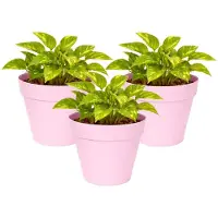 Mega Collections Plantenpot / bloempot - 3x - kunststof - lichtroze - binnen/buiten - D20 x H17 cm