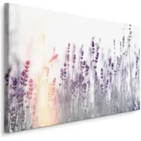 Karo-art Schilderij - Lavendel in zonsondergang , Wanddecoratie , Premium print