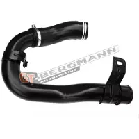 GT-BERGMANN GT52-581 Laadluchtslang