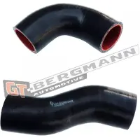 GT-BERGMANN GT52-263 Laadluchtslang