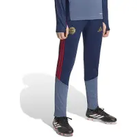 Adidas Sportbroek 'FC Bayern München 26/27' navy / saffier / rood
