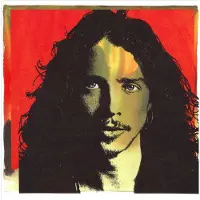 Bertus Distributie Chris Cornell/Anthology (Limited Deluxe Edition)