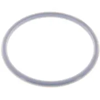 Tameson PTFE/FPM Afdichting 100 mm voor Tankwagenkoppeling MK/MB type EN 14420-6