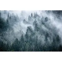 Karo-art 450cm X 300cm - Fotobehang - Mistig bos, premium print, inclusief behanglijm