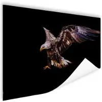 PosterMonkey Poster Adelaar - Arend - Nacht - Vogels - 90x60 cm
