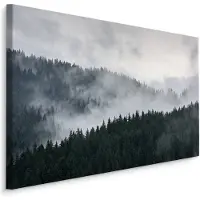 Karo-art Schilderij - Bos in de wolken, premium print, wanddecoratie