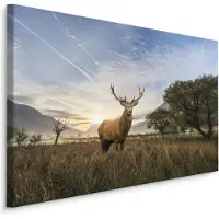 Karo-art Schilderij - Hert in het Veld, Premium print, 5 maten
