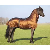 QHP Eczeemdeken Fries Bruin