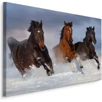 Karo-art Schilderij - Galopperende paarden in de sneeuw, premium print, wanddecoratie